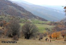 گزارش تصویری از فصل پاییز در جنگل ابر شاهرود